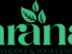 Account Assistant - Female