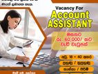 Account Assistant - Maharagama