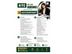 ACCOUNTANT - GALLE VACANCIES
