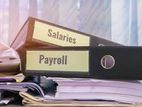 Accounts and Payroll Executive