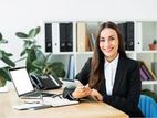 Accounts Assistant