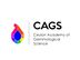 Accounts Assistant - Malabe