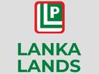 Accounts Assistants - ගිණුම් සහයකයින්