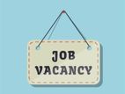 Accounts Executive - Colombo 04