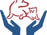 Accounts Executive