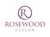 Accounts Executive
