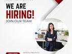 Accounts Executive (Female)