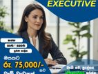 Accounts Executive - Maharagama
