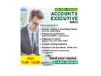 Accounts Executive - Male