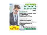 Accounts Executive - Male