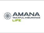 Advisor - Insurance