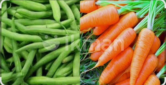 c881cae9-e573-4e54-99ec-c91ddde04fea