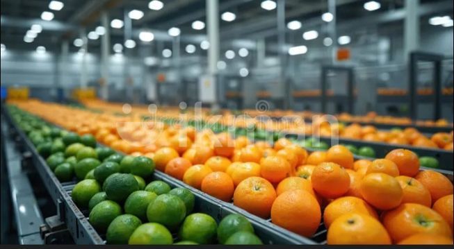 72e85ff5-a20b-4c97-9902-f11c22c48838