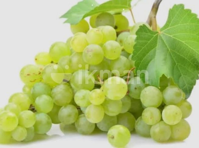 500c7f01-de2e-4fc6-9b02-59503290fc2a