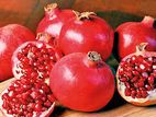 Agriculture Manager Pomegranate - Dambulla