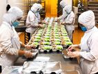 Airline Food Packing Officer- Katunayake