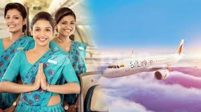 02871b69-628b-4ee7-a278-880722cdd4d2