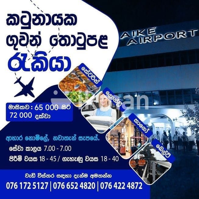 c5178465-6b86-44ff-a704-52f86db955f7