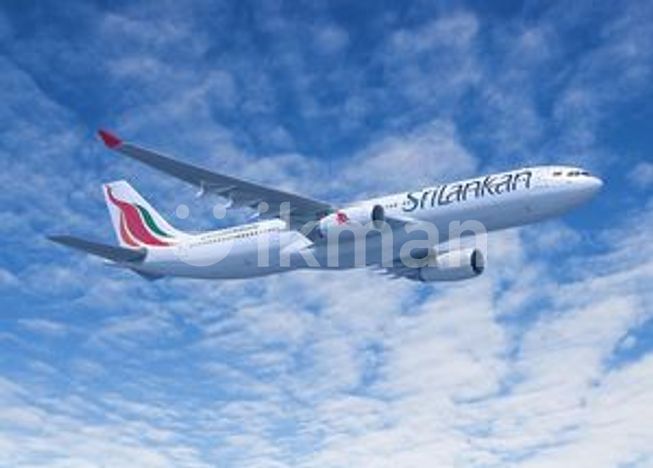 6e88e2e4-af47-4987-8c73-26b7e270f950