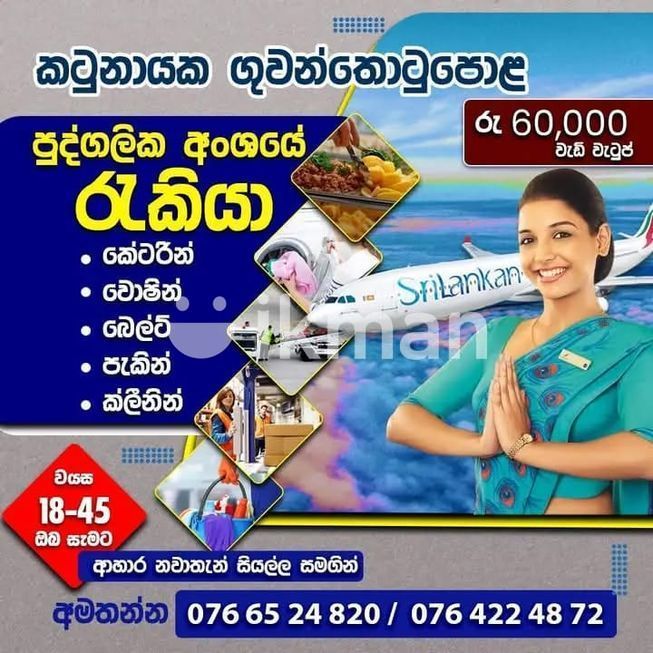 0113a793-88bb-4fc0-8e73-01f01f6806a1