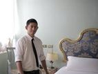 All Round Room Attendant - Colombo 8