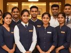 Allrounder Hotel Staff