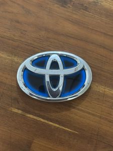 Aqua Dicky Door Badge for Sale