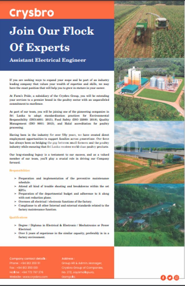 Assistant Electrical Engineer Vacancy | Gampola | ikmanJOBS