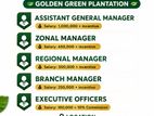 ASSISTANT GENERAL MANAGER