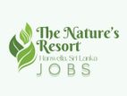 Assistant Hotel Manager - Resort in Waga