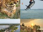 Assistant Manager – Margarita Kite School (Kalpitiya, Sri Lanka)