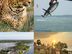 Assistant Manager – Margarita Kite School (Kalpitiya, Sri Lanka)