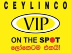 Assistant Sales Manager - Gampaha City