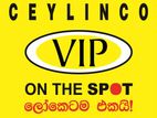 Assistant Sales Manager - Gampaha