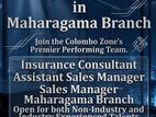 Assistant Sales Manager - Maharagama