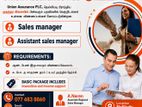 Assistant Sales Manager - Nelliady