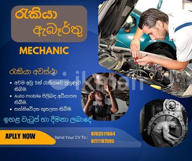 19b31aed-9cbd-40fe-9aa4-3856e1125ea1