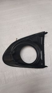 Axio 161 Fog Cover for Sale