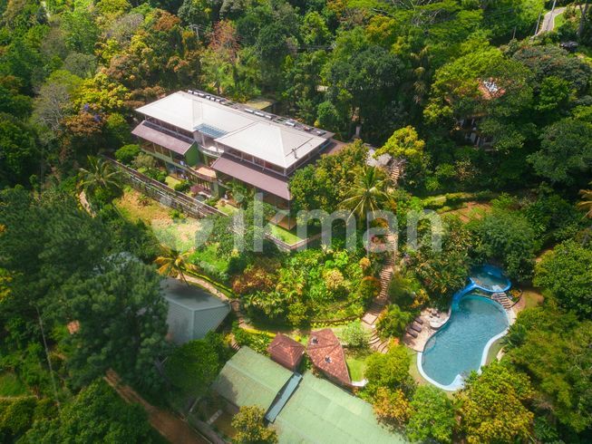 c9b3fe6f-0fe2-406c-88b7-e7c166c0a1fd