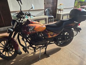 Bajaj Avenger 2015 for Sale