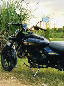 Bajaj Avenger 2017 for Sale