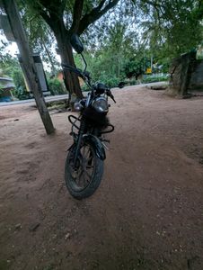 Bajaj Avenger 2017 for Sale
