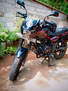 Bajaj Avenger Cruise 2011 for Sale