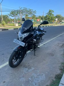 Bajaj Avenger Street 150 2015 for Sale