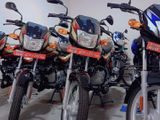 Bajaj CT100 Brand New CT - BLUE 2024