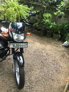 Bajaj CT100 2024 for Sale