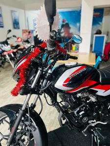 Bajaj Discover 125 Brand New 105 2025 for Sale Bajaj Discover 125 Brand New 105 2025 for Sale