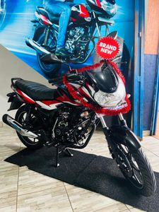 Bajaj Discover 125 Brand New 111 2025 for Sale