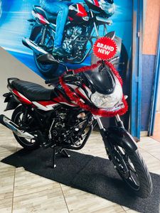 Bajaj Discover 125 Brand New 112 2025 for Sale