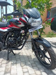 Bajaj Discover 125 Brand New 7 2025 for Sale